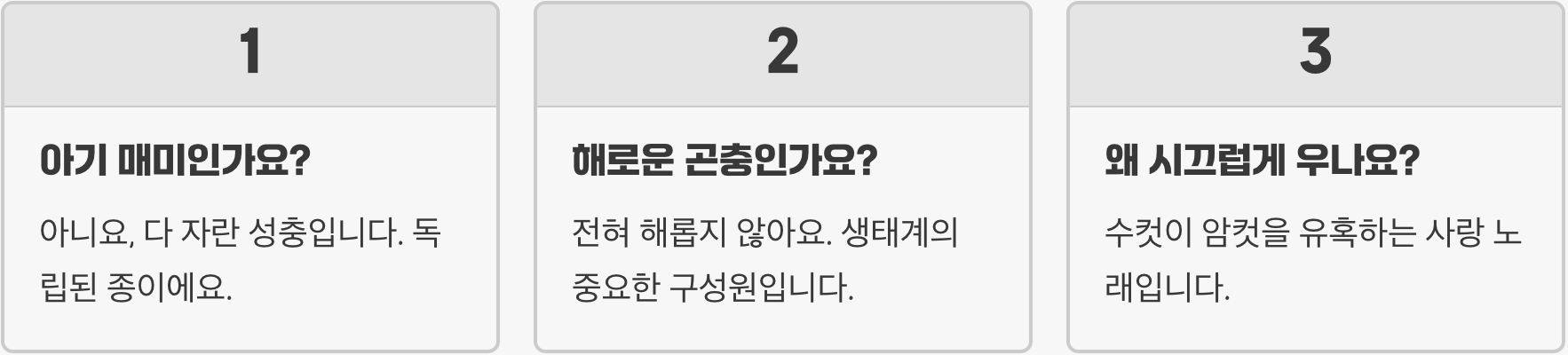왜 '애'매미일까? 작고 귀여운 애매미 이름의 유래와 뜻