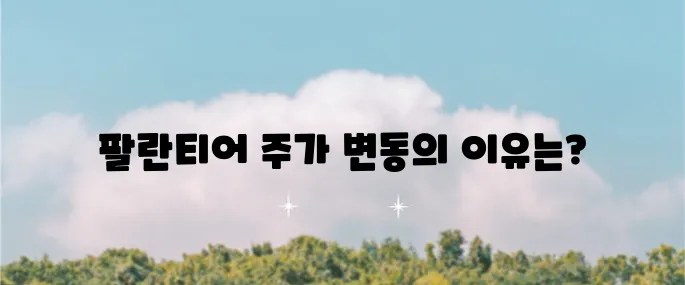 팔란티어 주가 전망 실적 발표 이후 급등과 목표 주가에 대한 분석이 필요합니다