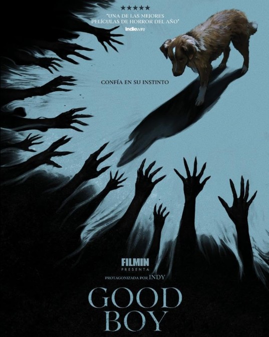 강아지 나오는 영화 추천 굿보이 다시보기 줄거리, 결말, 해석, 리뷰 및 후기