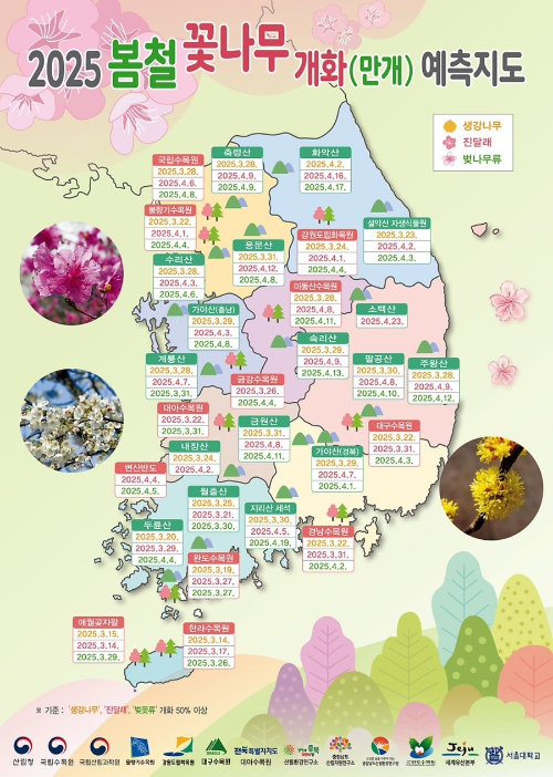 2025년 전국 봄꽃 개화 시기 &amp; 지역별 봄꽃 아이와 가볼만한 축제