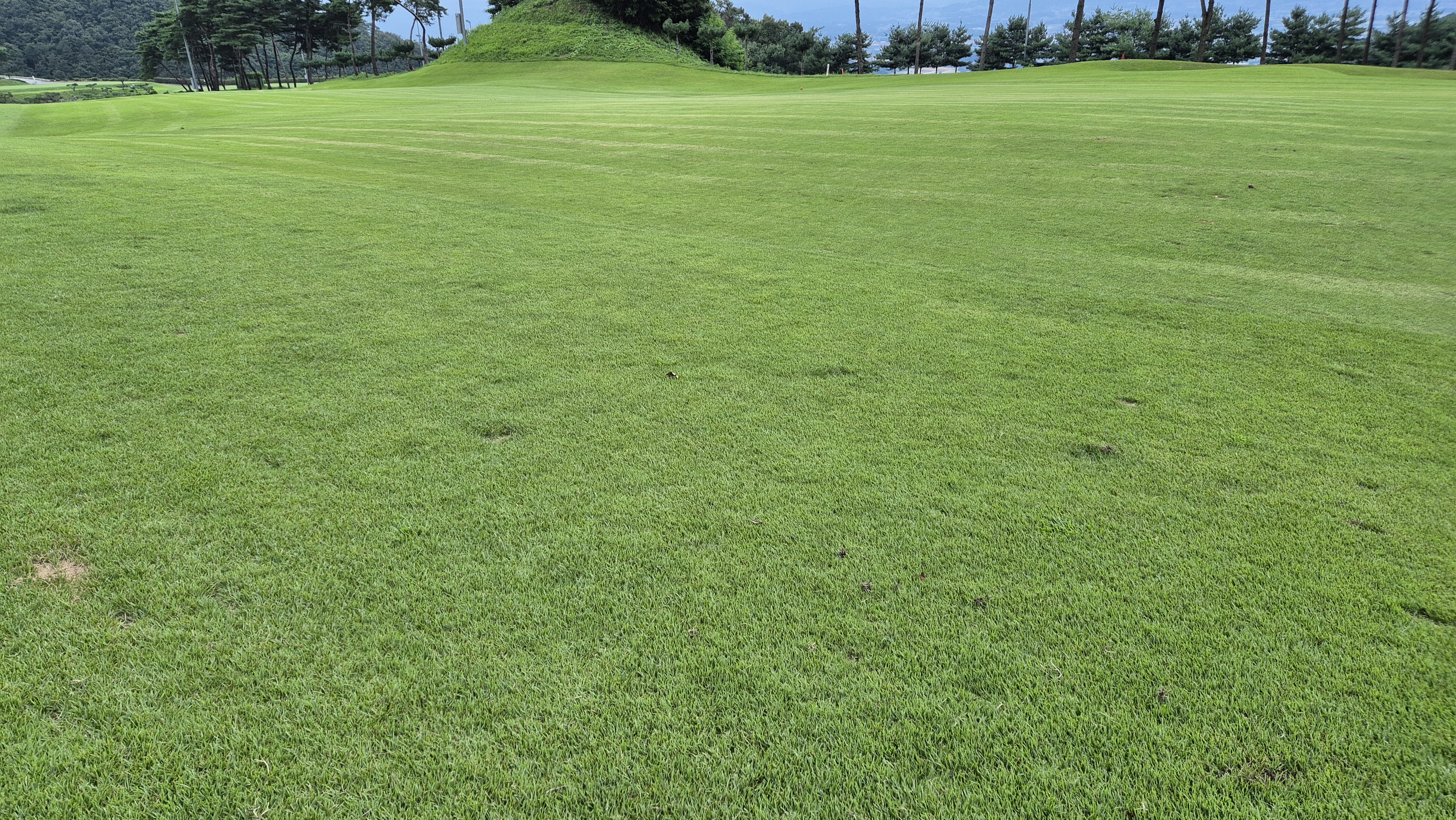 참밸리cc 라운드 후기