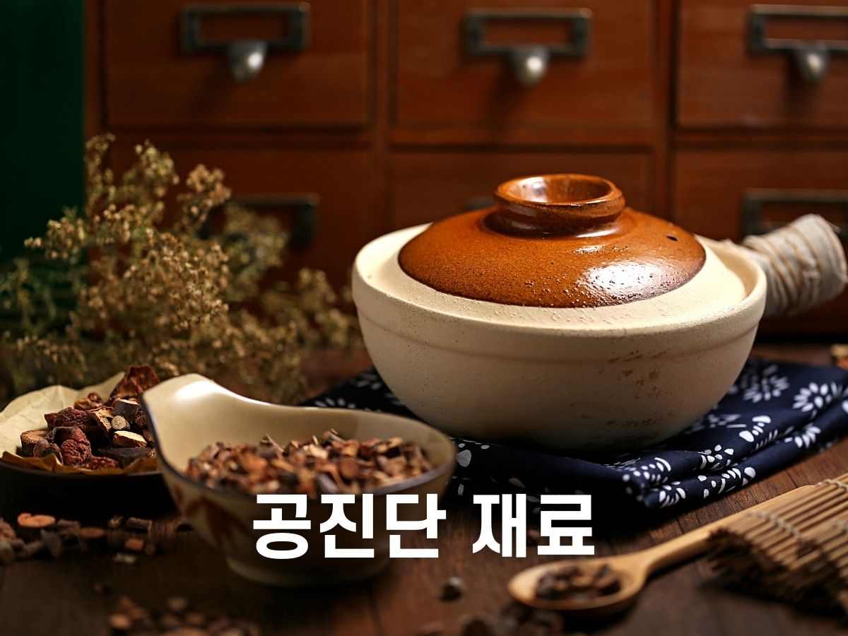공진단 재료