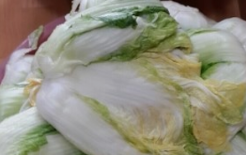 절임배추 김장배추구매 사전예약 가격비교