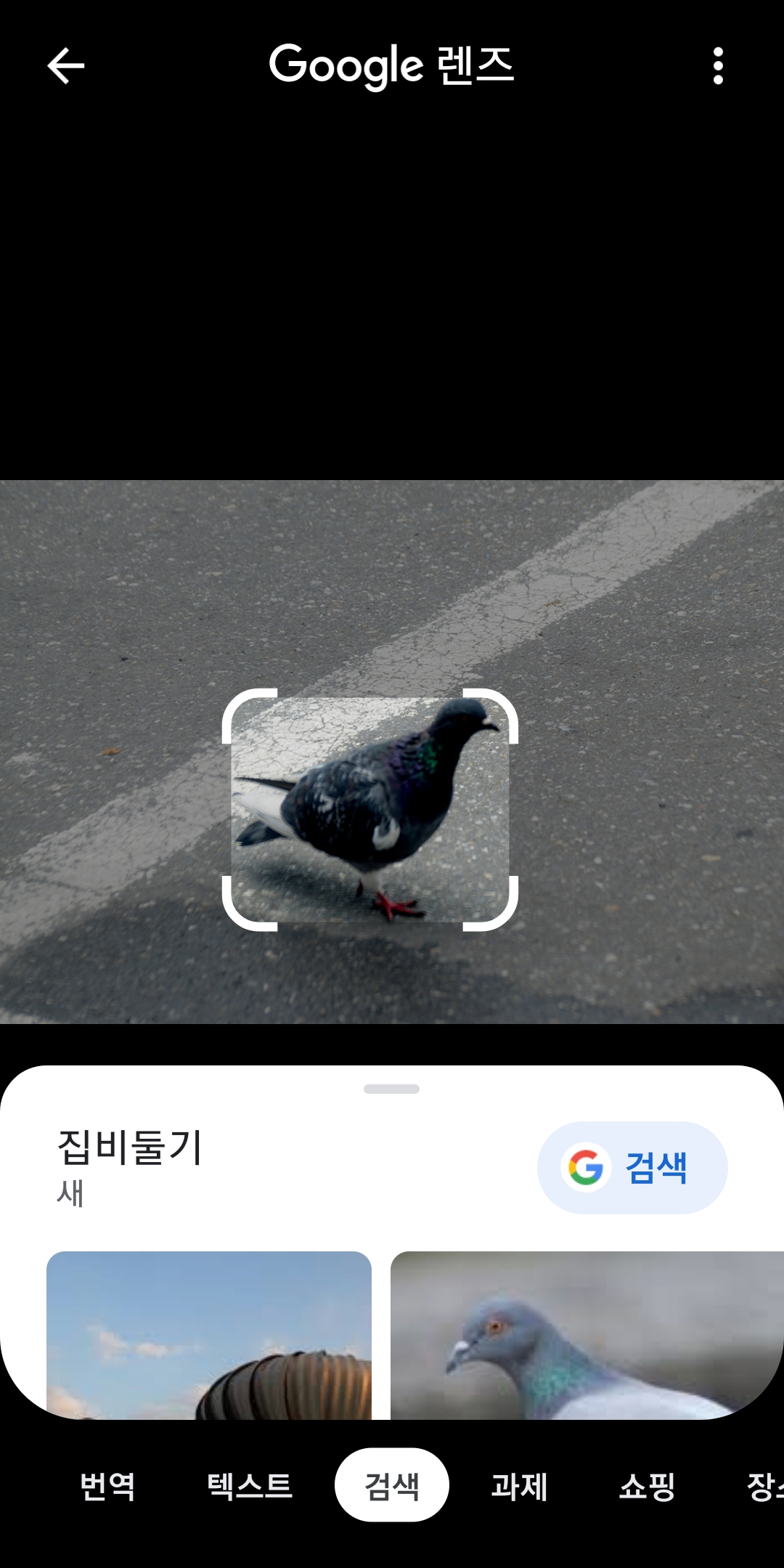 새 사진으로 이름 찾기