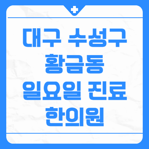 대구 수성구 황금동 일요일 진료