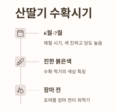 산딸기 수확시기