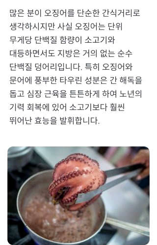 단백질 많은 음식 효능 효과