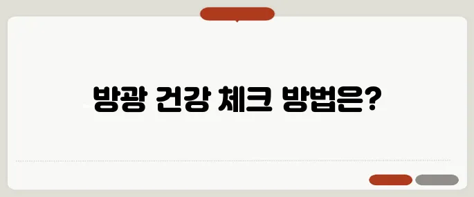 소변이 잘 안 나올 때 방광 건강 체크법