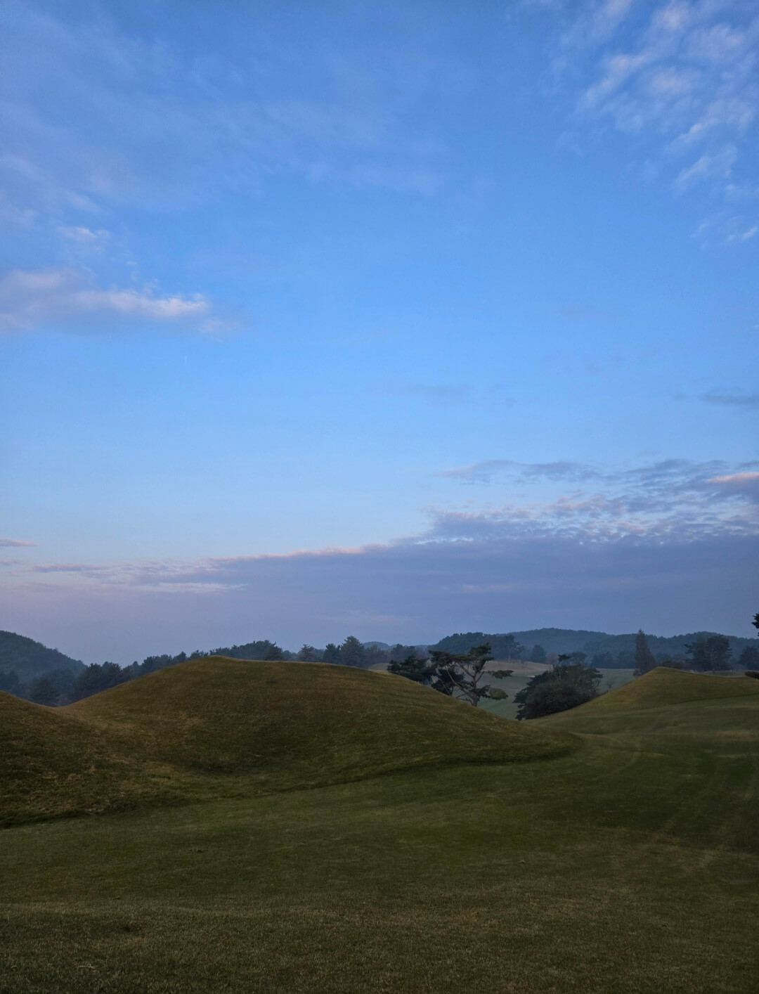 분화구 모양의 글라스벙커