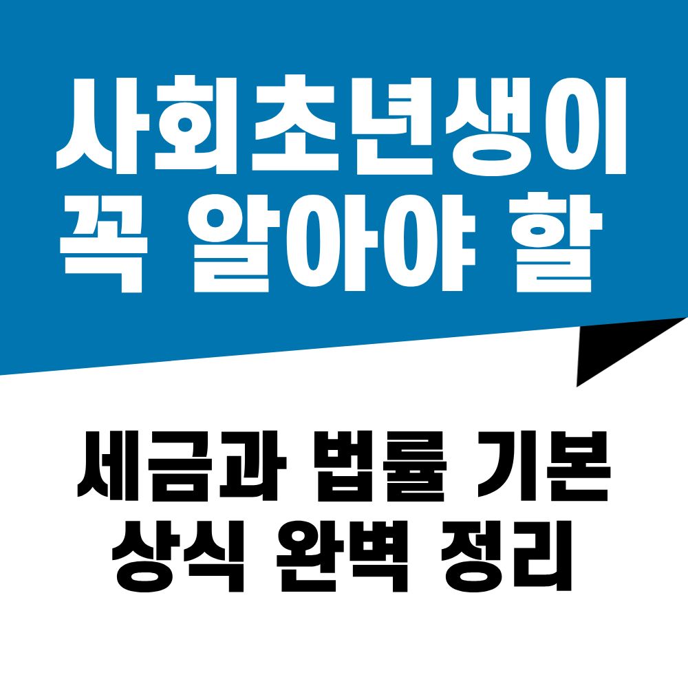 사회초년생이 꼭 알아야 할 세금과 법률 기본 상식 완벽 정리