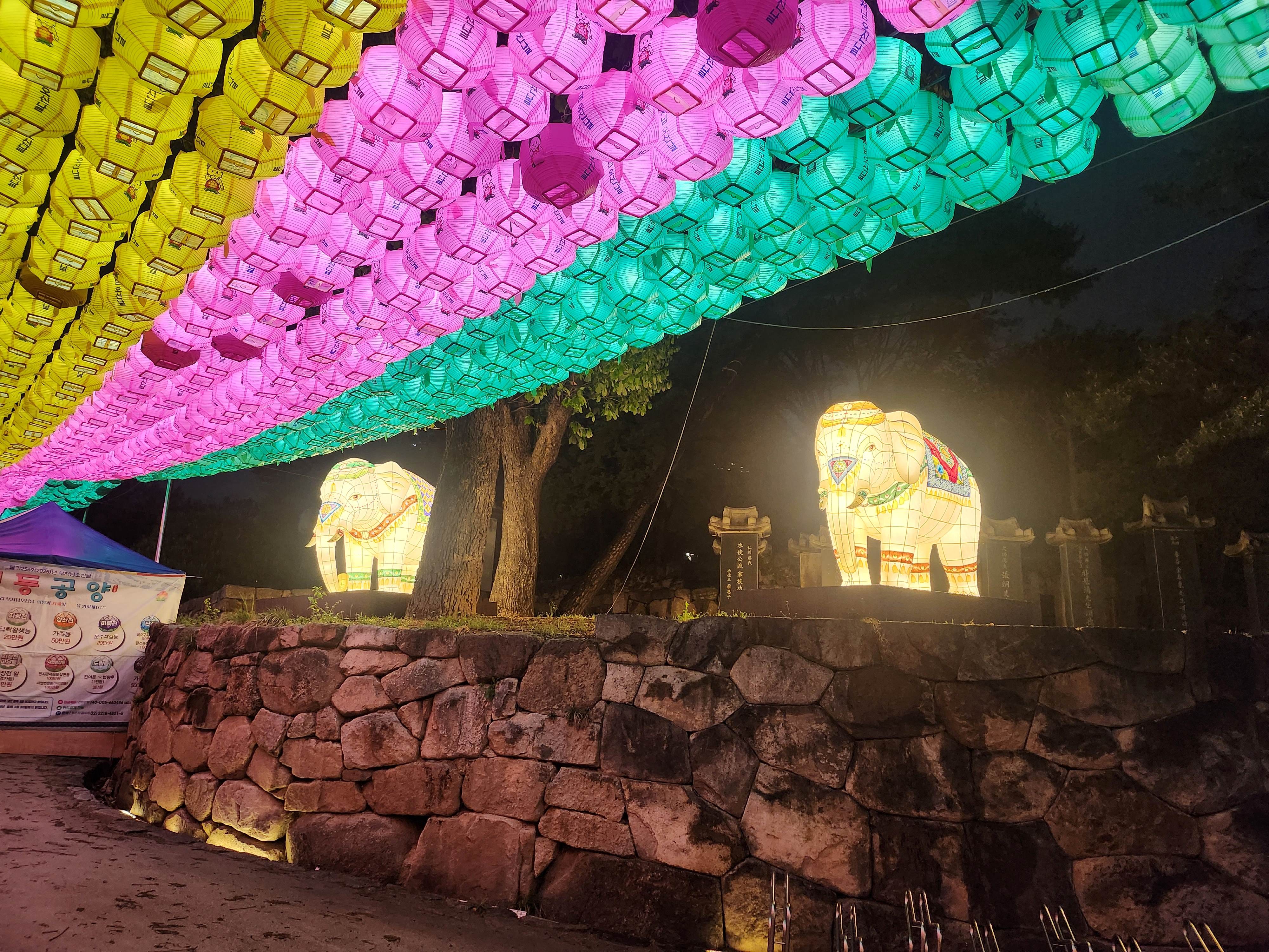 2025. 4. 19. 봉은사 연등제 야경 산책 후기 (겹벚꽃, 라일락, 홍매화 개화상황 포함)