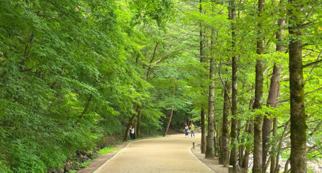 강원도 오대산