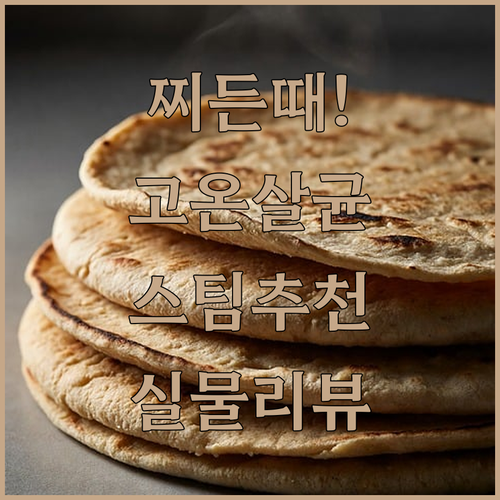 찌든 때 제거용 고온 살균 스팀청소기..