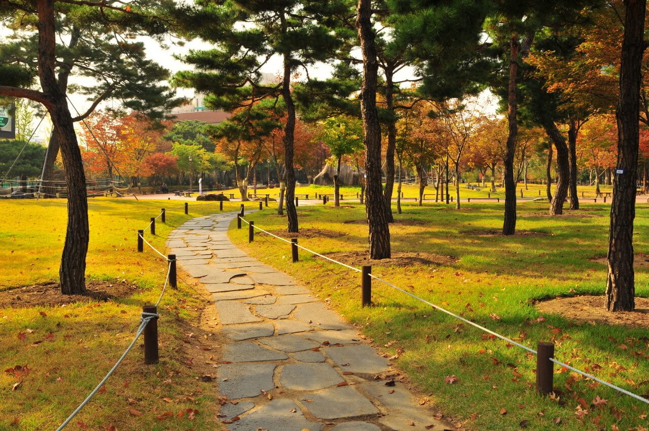 대구 가볼만한 단풍 여행은 어디일까? 대구 단풍 여행 총정리!
