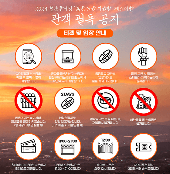 2024 청춘폴나잇