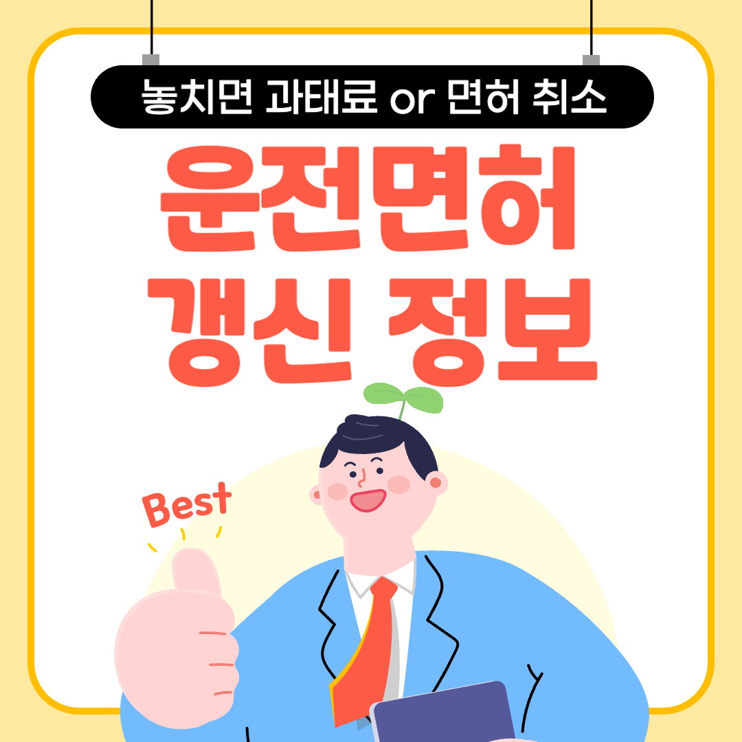 2025년운전면허갱신