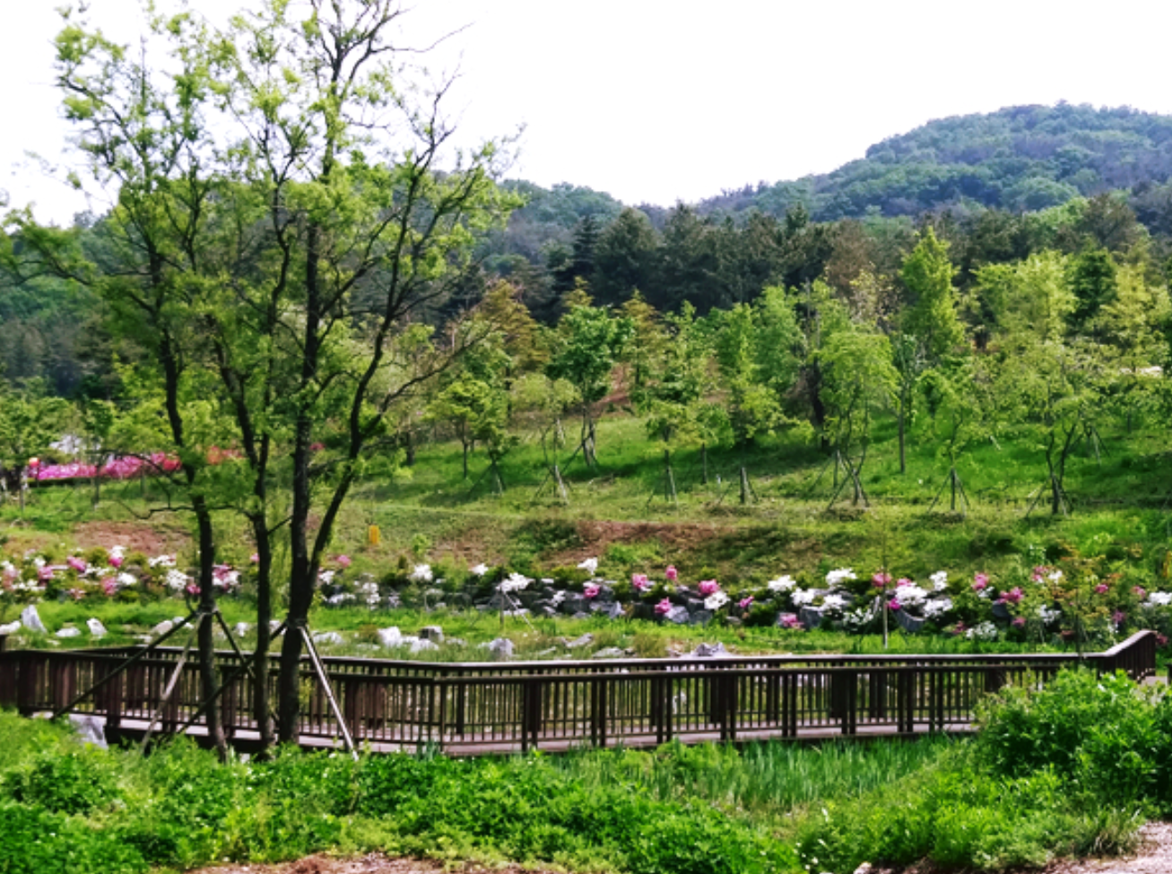 대부도 여행 추천