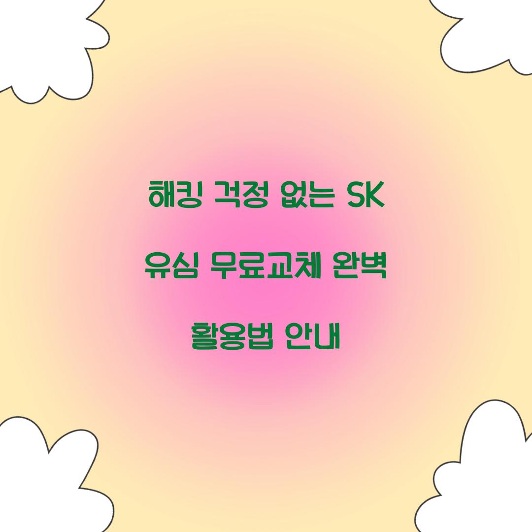 해킹 걱정 없는 SK 유심 무료교체 활용법