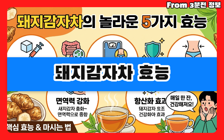 돼지감자차 효능