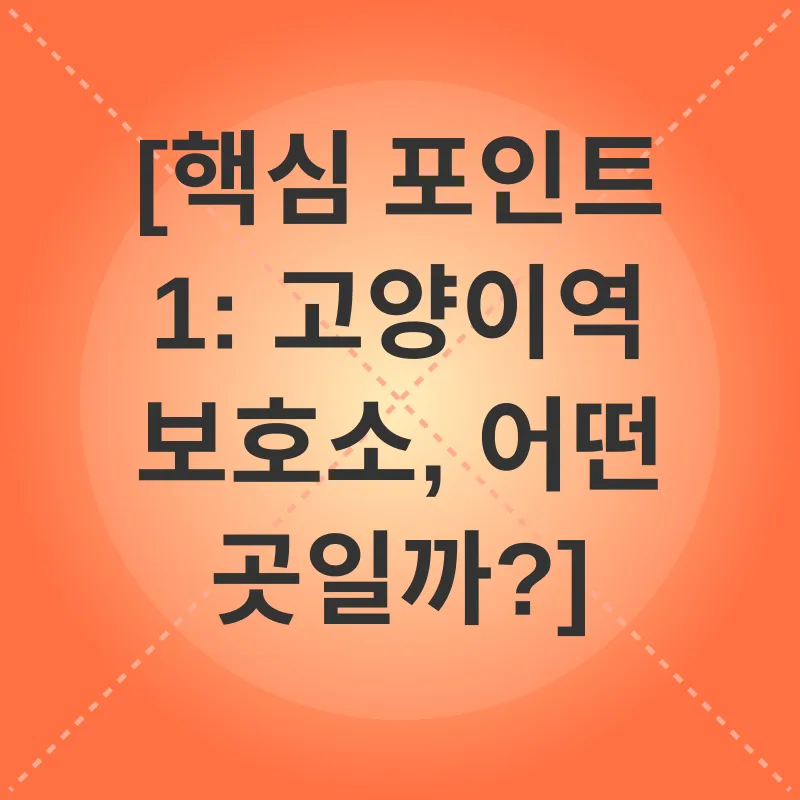 고양이 보호소 방문_1