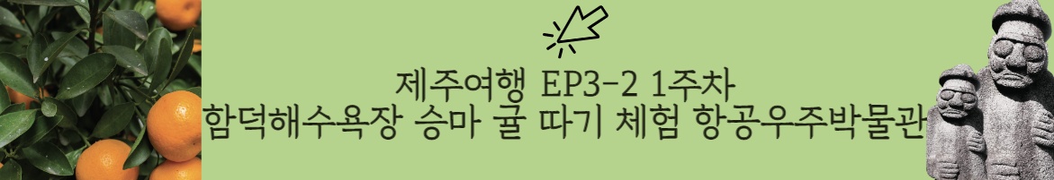 제주도 한달살기 4인가족 함덕해수욕장 승마 귤 따기 체험 항공우주박물관