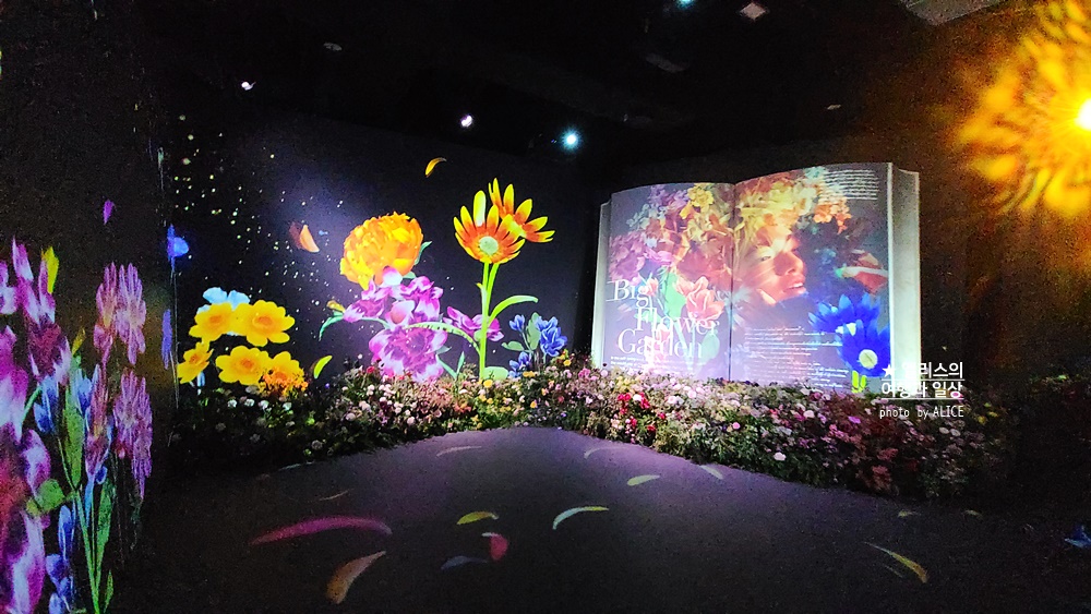 플라워바이네이키드 홍대 놀거리 입장료 23% 할인예매방법, 즐기는 꿀팁 네가지