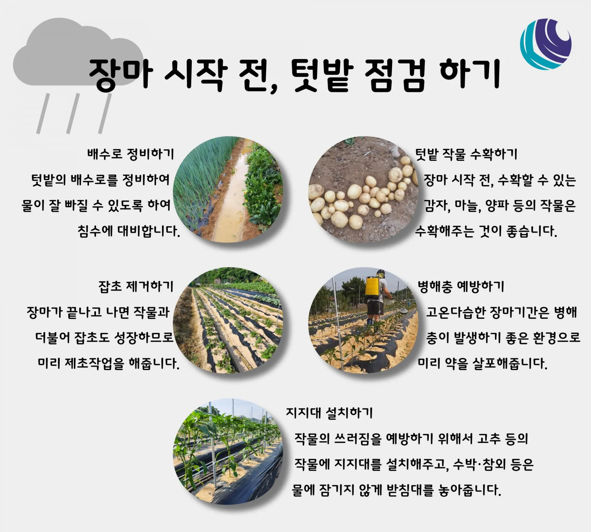 &amp;quot;장마후