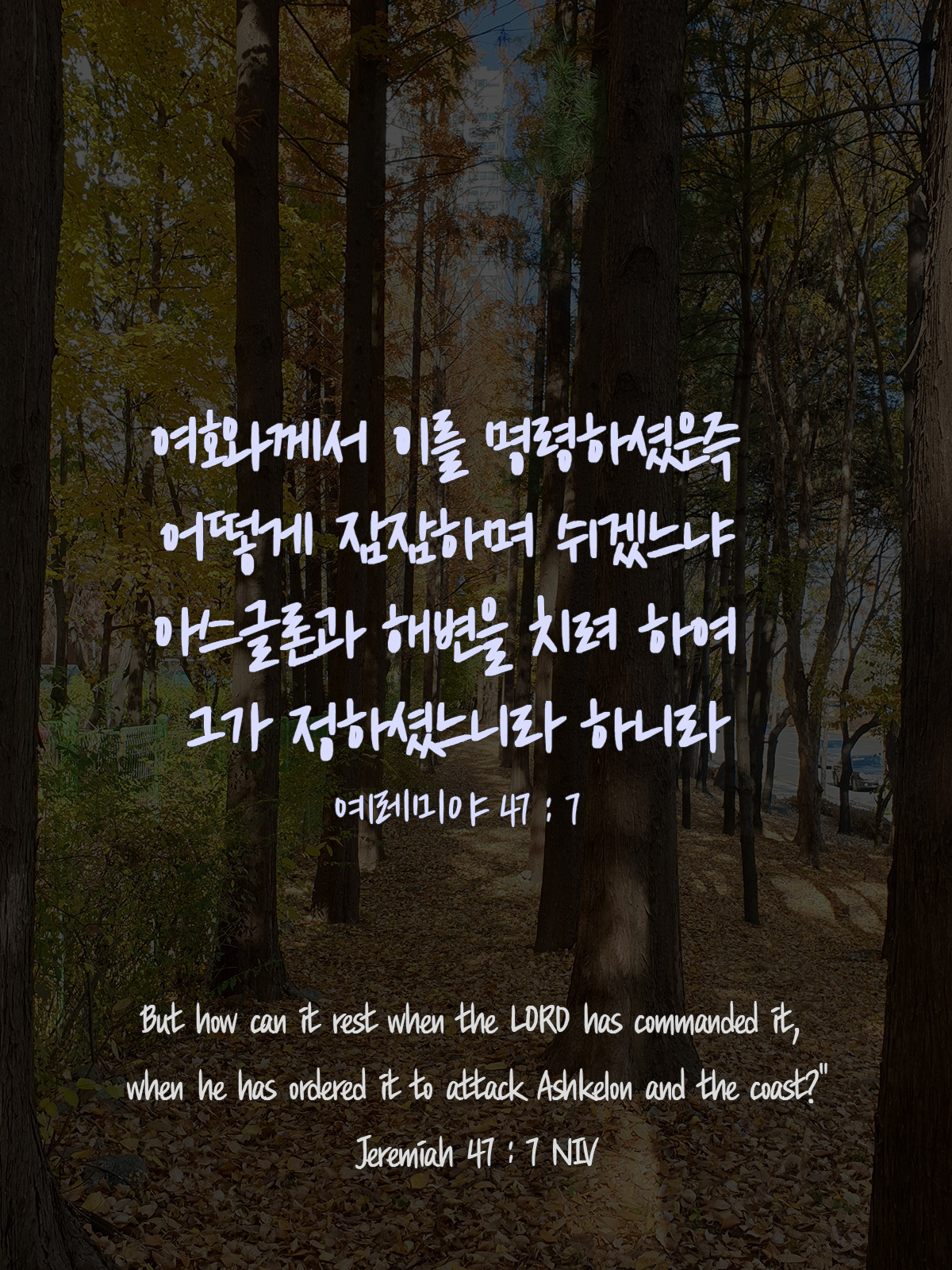 예레미야 47장