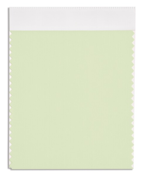 라임 크림(Lime Cream)