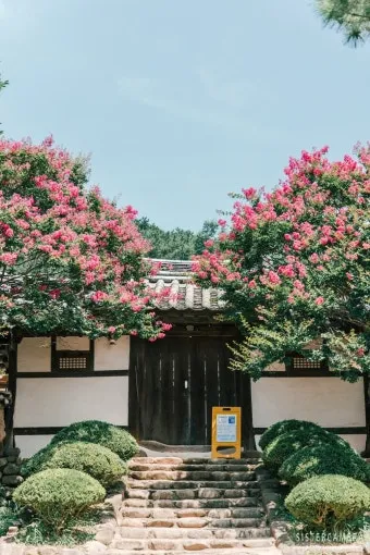 대구 가볼만한곳 베스트10 근대골목 수성못 노포맛집 여유 코스_15