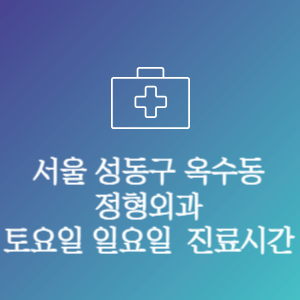 서울 성동구 옥수동 주말 토요일 일요일 문여는 병원 진료시간