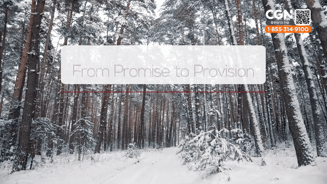 From Promise to Provision