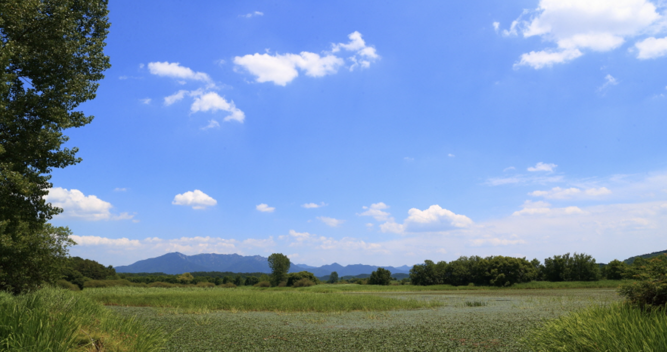 경남 창녕 우포늪 전경