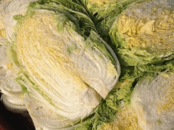 백김치 맛있게 담그는 방법