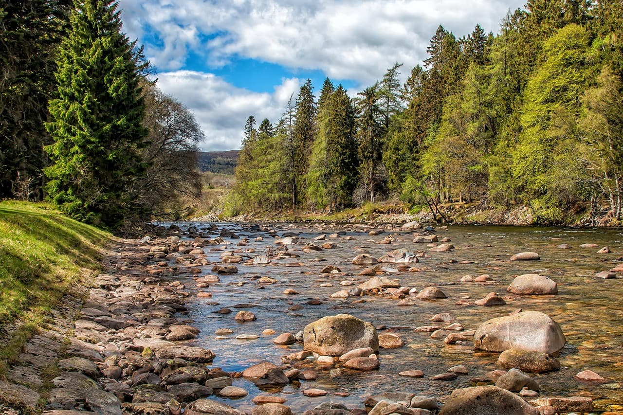 관개수(하천수·지하수) 오염도가 미세플라스틱에 미치는 영향
