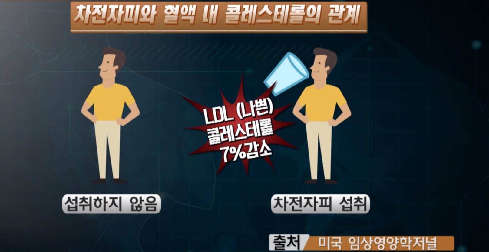 차전자피 효능