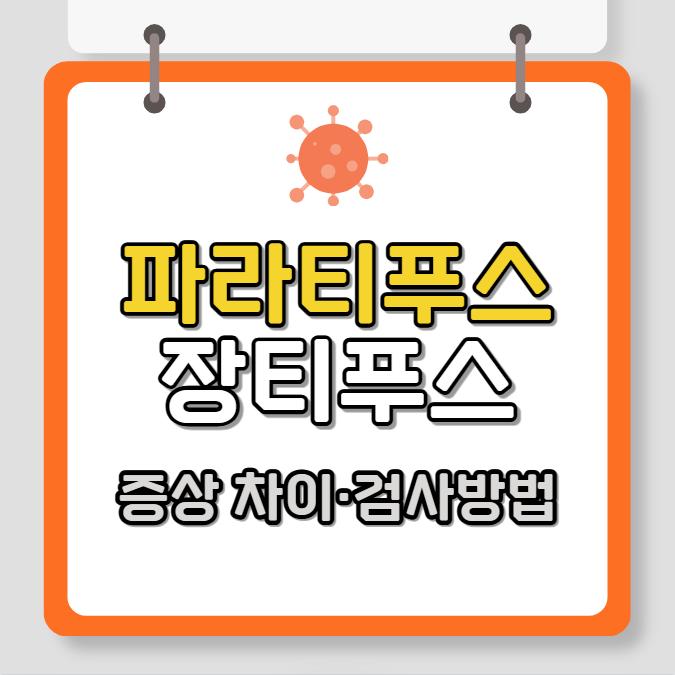 파라티푸스 vs 장티푸스, 증상 차이, 검사방법