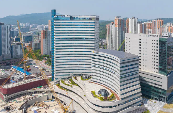 도서관 대출과 도서 구매 기준