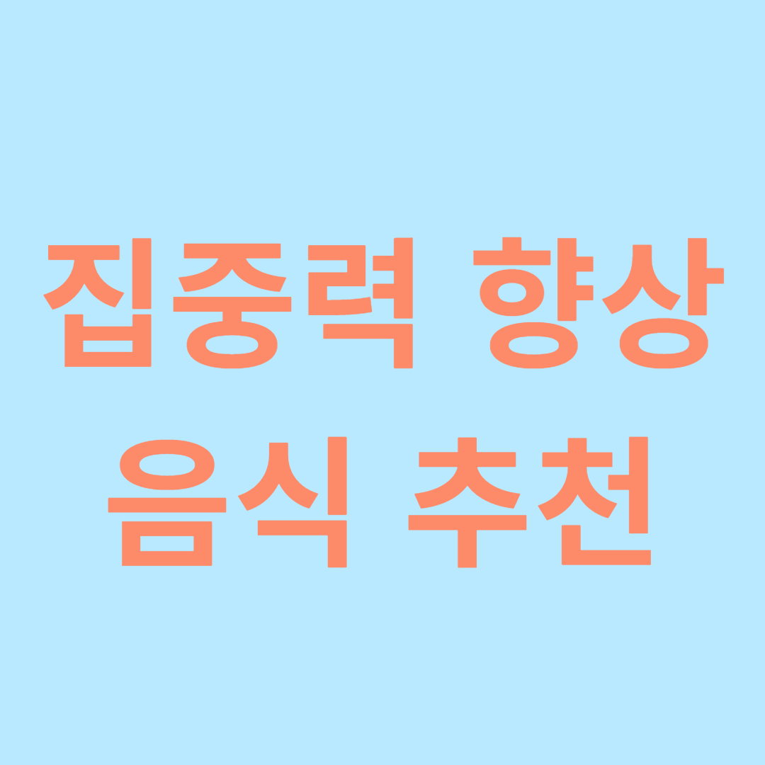 집중력을 향상 시키는 음식