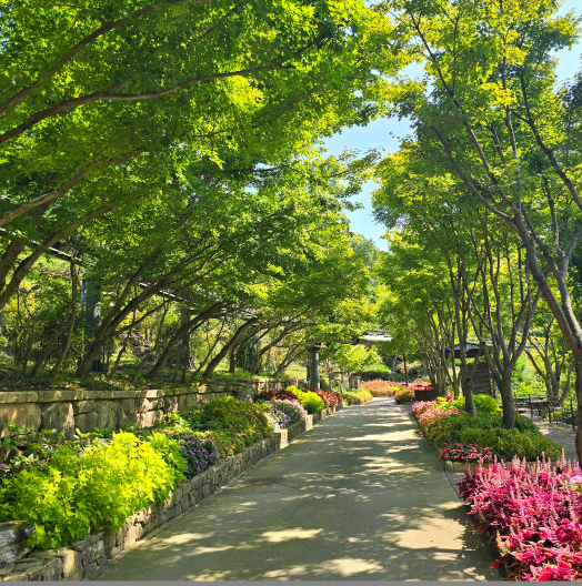 화담숲 모노레일 예약 예매