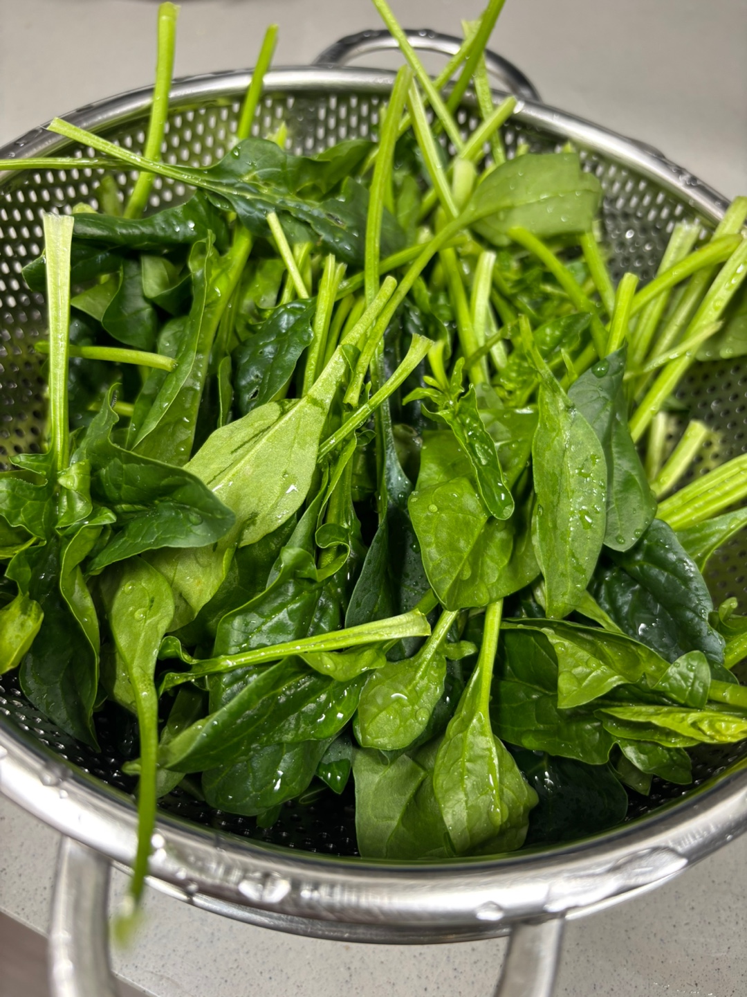 잘 다듬어서 씻어 놓은 시금치가 볼에 담겨져 있다.
