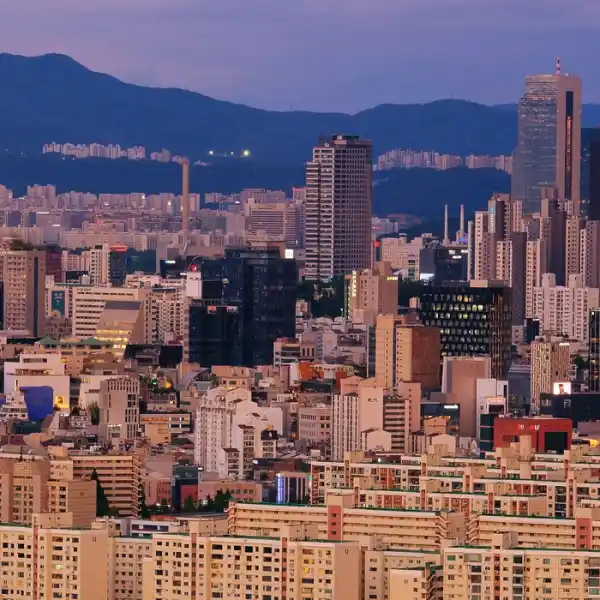 강남의 핫플레이스 강남역과 테헤란로 그리고 세계문화유산