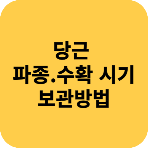 당근 파종 시기 수확 시기 보관 방법 알아보기