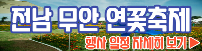 무안 연꽃축제 일정 자세히 보기