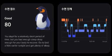 갤럭시 링