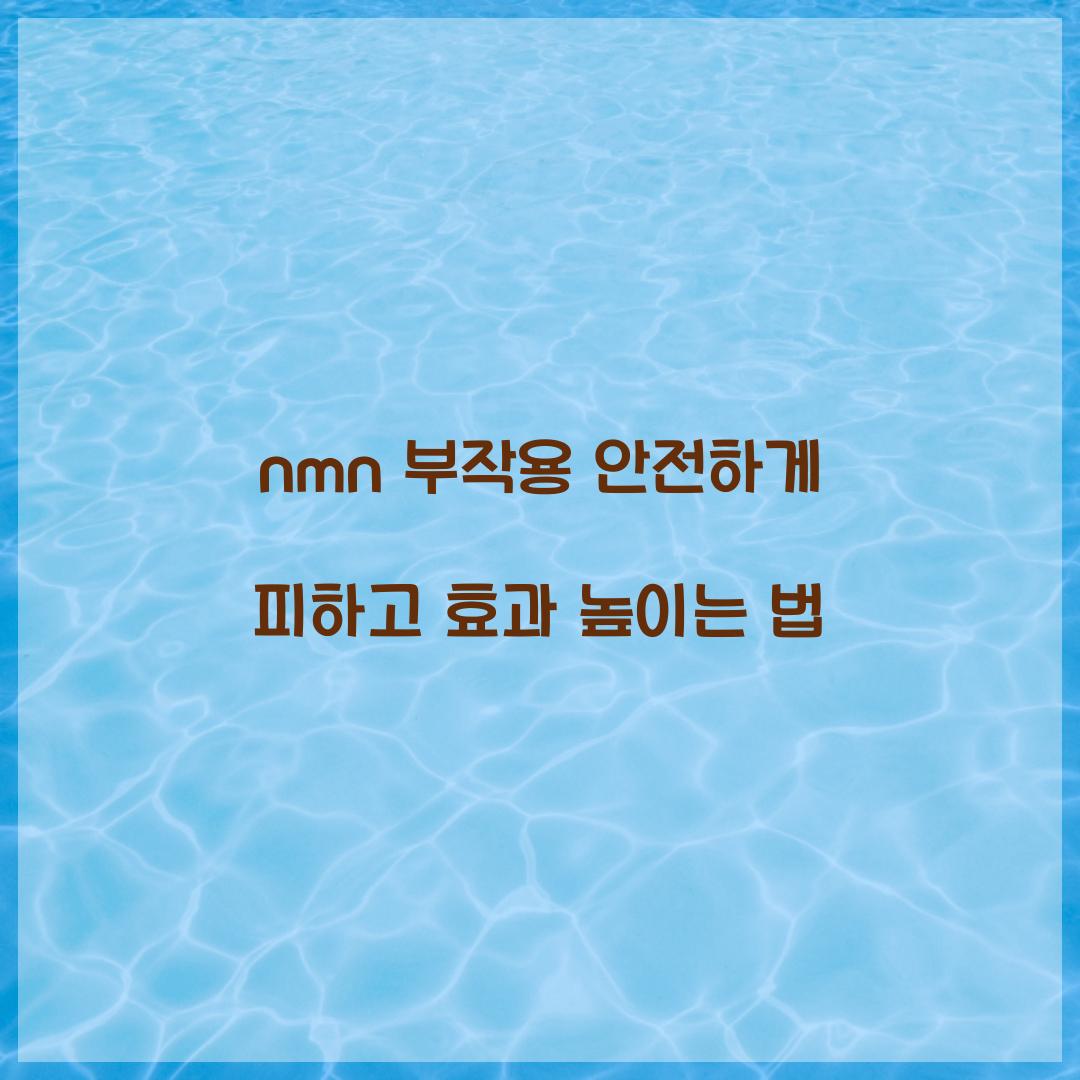 nmn 부작용