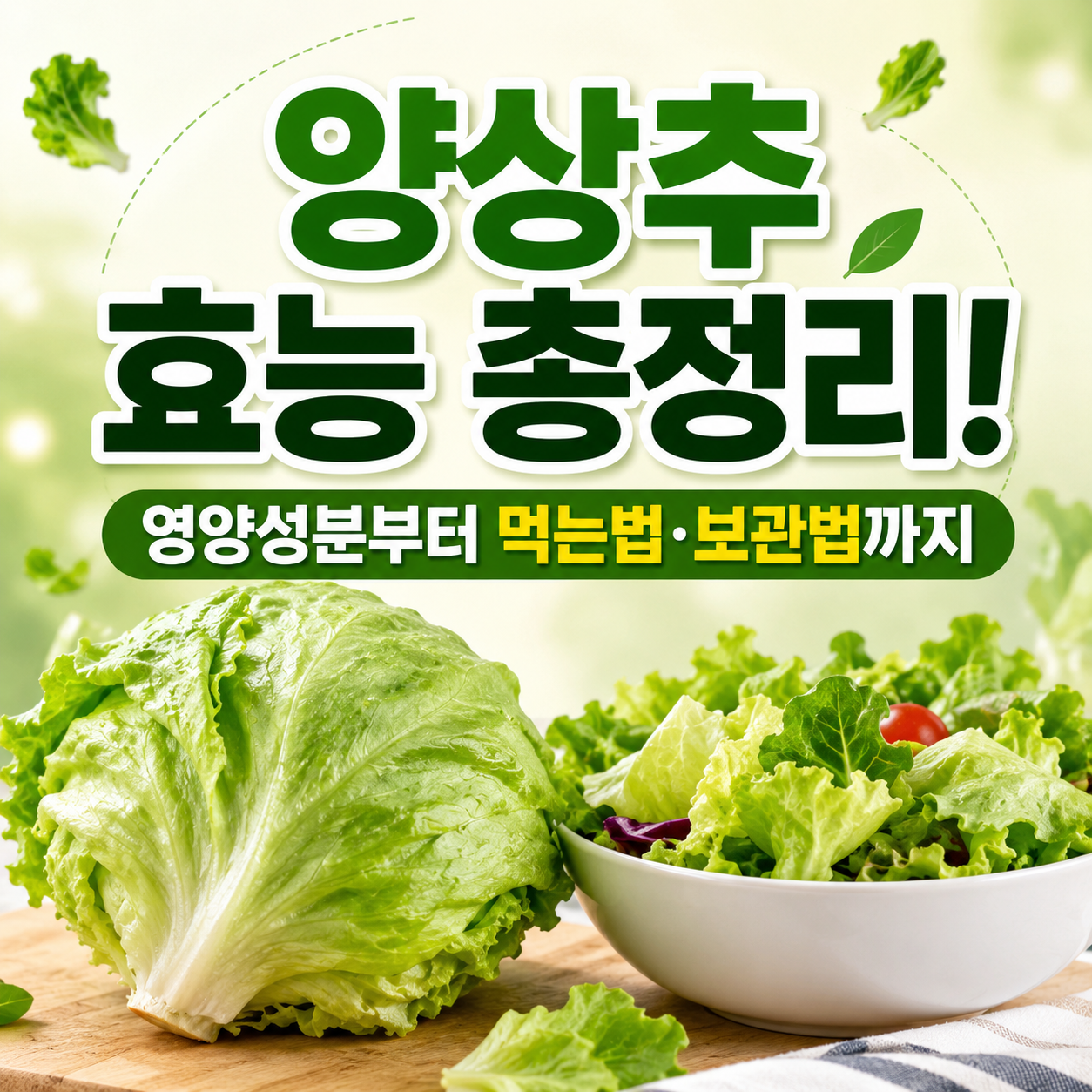 양상추 효능