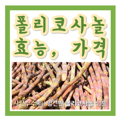 폴리코사놀