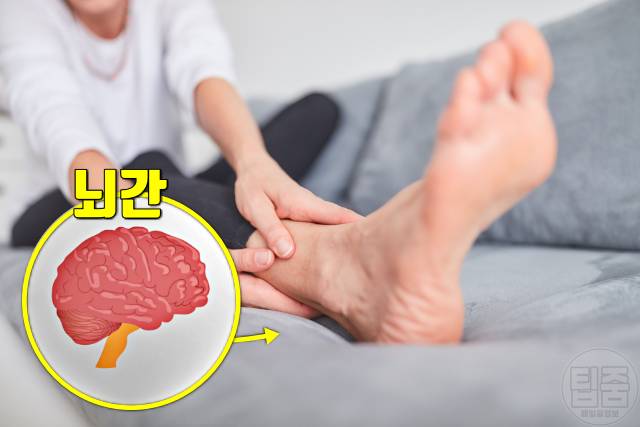 뇌에 피가 부족할때 증상 피가부족한증상 뇌혈류장애 팔다리 마비