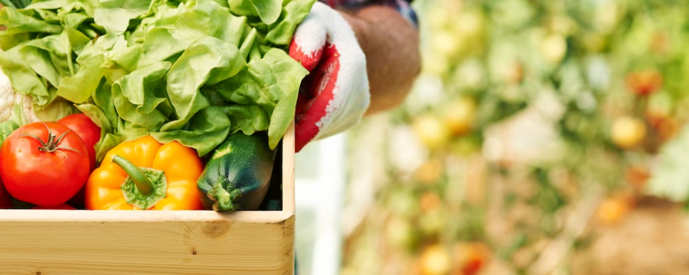 공익직불금 신청 방법